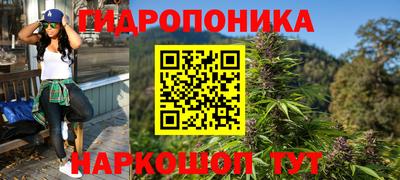 прущий лед Кингисепп