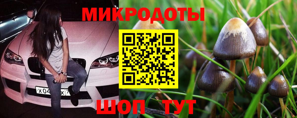 Алапаевск  Галлюциногенные грибы Cubensis  Вход с VPN 