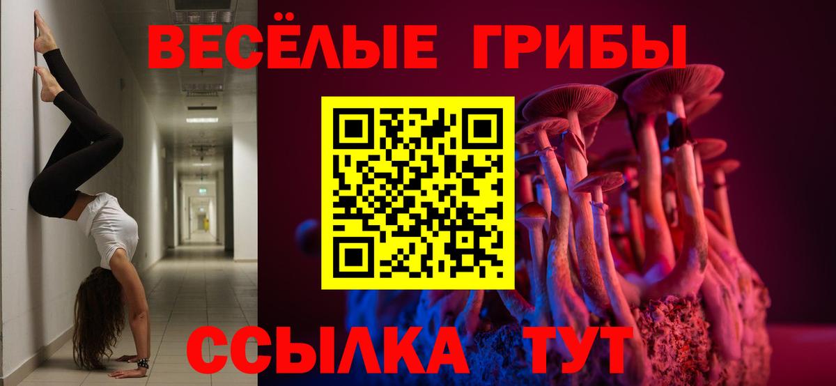 Псилоцибиновые грибы мухоморы Алапаевск